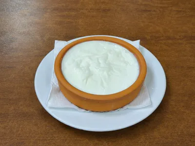 Yoğurt